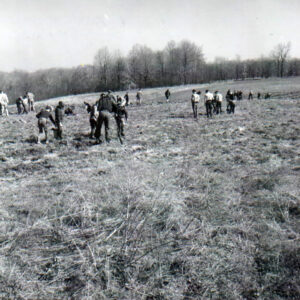 04_08_1967_Tree_Planting__3_website-2506