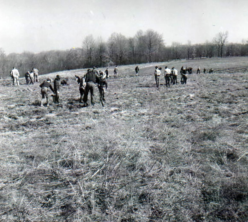 April 8, 1967
Tree planting
Photo ID#: E421