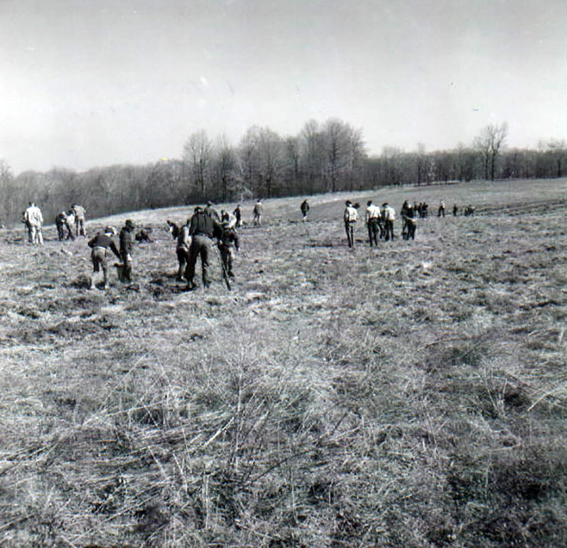 April 8, 1967
Tree planting
Photo ID#: RSWCD287