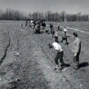 04_08_1967_Tree_Planting__5_website-3460