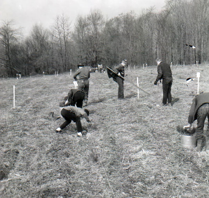 April 10, 1965
Tree planting
Photo ID#: E427