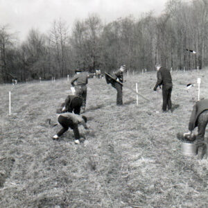 04_10_1965_Tree_Planting__3_website-3395