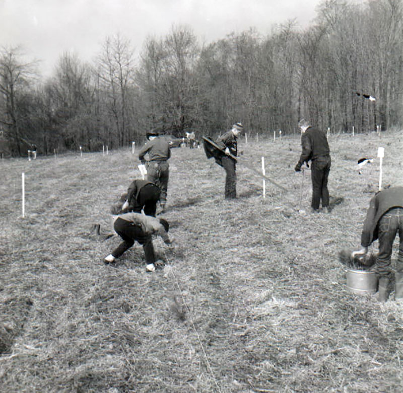 April 10, 1965
Tree Planting
Photo ID#: RSWCD231