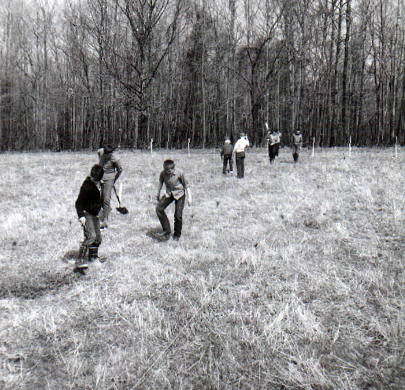 April 11, 1964
Tree Planting
Photo ID#: RSWCD198