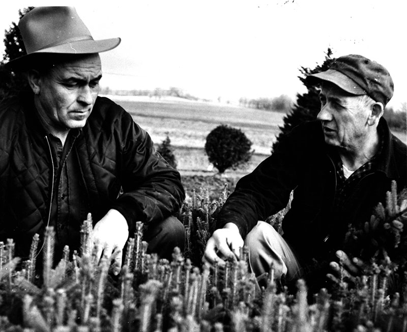 April 11, 1968
C Jones (SWCD) and J L Kopach (Suncrest Nursery in Homer City, PA)
Photo ID#: N40