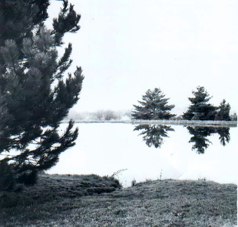 April 11, 1968
Lake
Photo ID#: RSWCD316