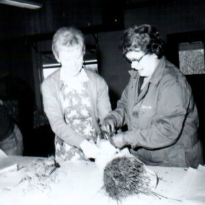 04_12_1968_Tree_Wrap_Richland_Rural_Life_Center_website-3491