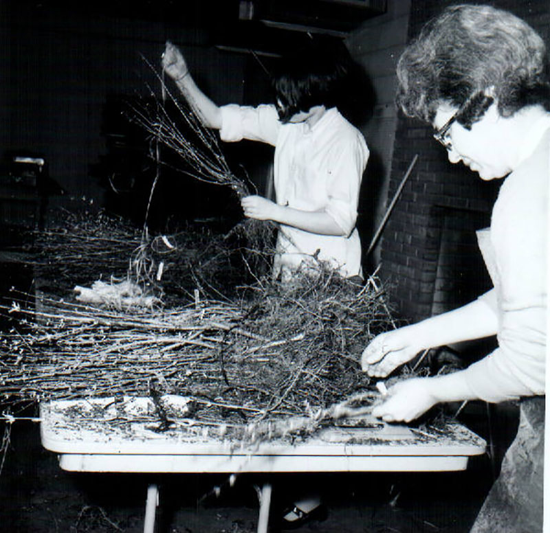 April 12, 1969
Tree-wrapping, Laura Mills and Mrs. McGrew
Photo ID#: RSWCD335