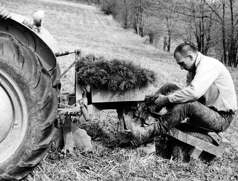 April 13, 1969
John Rinehart is shown as he completes a 4,000-tree job on his Jefferson Township farm
Photo ID#: S125
