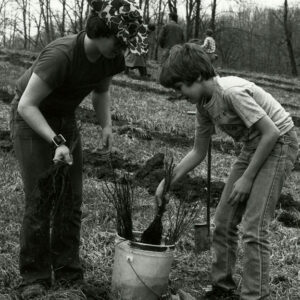 04_13_1981_Boy_Souts_planting_Tulip_Popular_for_Cooperator_Joh_Wirick._Jeff._Twp._website-5550