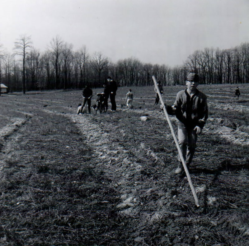 April 16, 1966
Tree Planting 
Photo ID#: RSWCD259