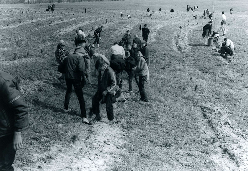 April 16, 1966
Tree Planting for Boy Scout Forestry Day held at Camp Avery Hand
5,000 trees were planted in 2.5 hours!
Y260