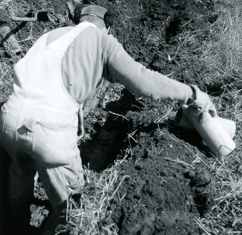 April 19, 1967
Steve Phillips observing tiling
Photo ID#: A707