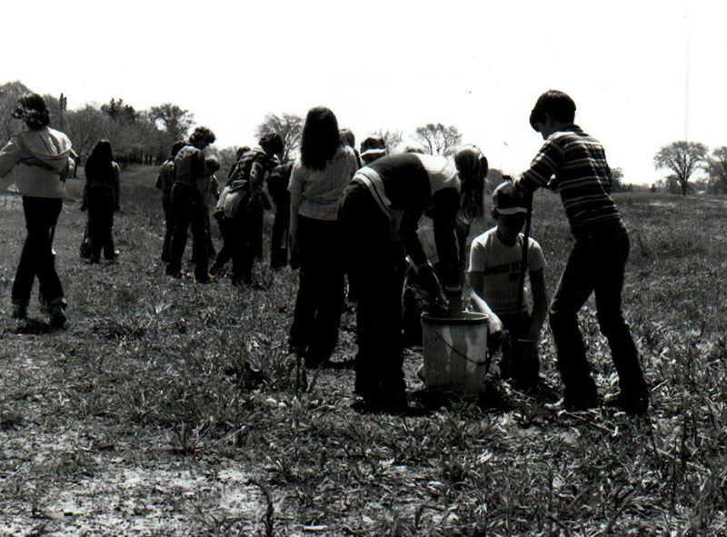 May 1981
Discovery School tree planting
Photo ID#: E64