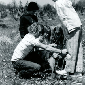 05_01_1974_Crestview_School._Students_planting_trees_website-2007