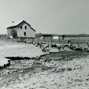 05_05_1969_Richard_Forbes_Farm._Worthington_Twp_website___Copy-742