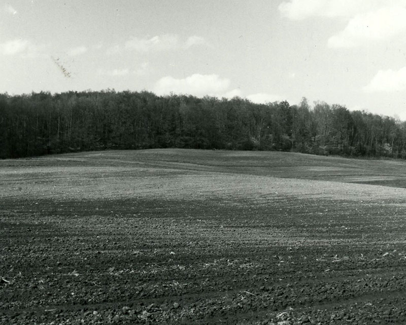 May 5, 1980
Conventionally tilled field
Jackson Township
Photo ID#: A1051