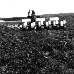 05_05_1980_Jefferson_Township_Nathan_Hickerson_plants_no_till_corn_in_clover_sod_website___Copy-1133