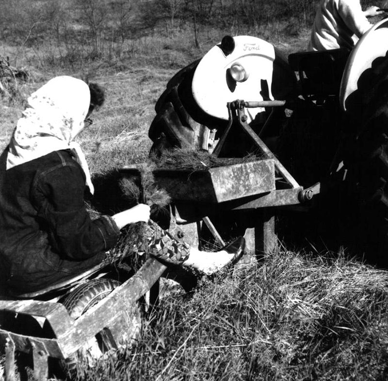 May 6, 1963
Tree Planting
Photo ID#: S132