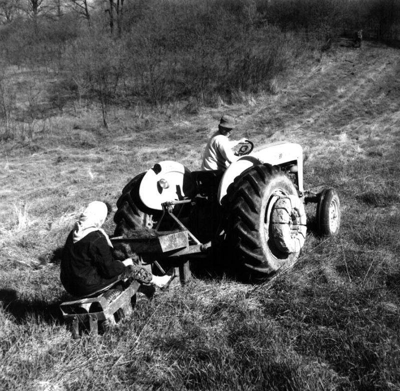 May 6, 1963
Tree Planting
Photo ID#: S135