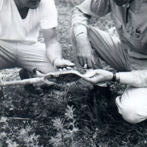 05_08_1964_Freeman_Swank_Farm_Alfalfa_Field_website-3363