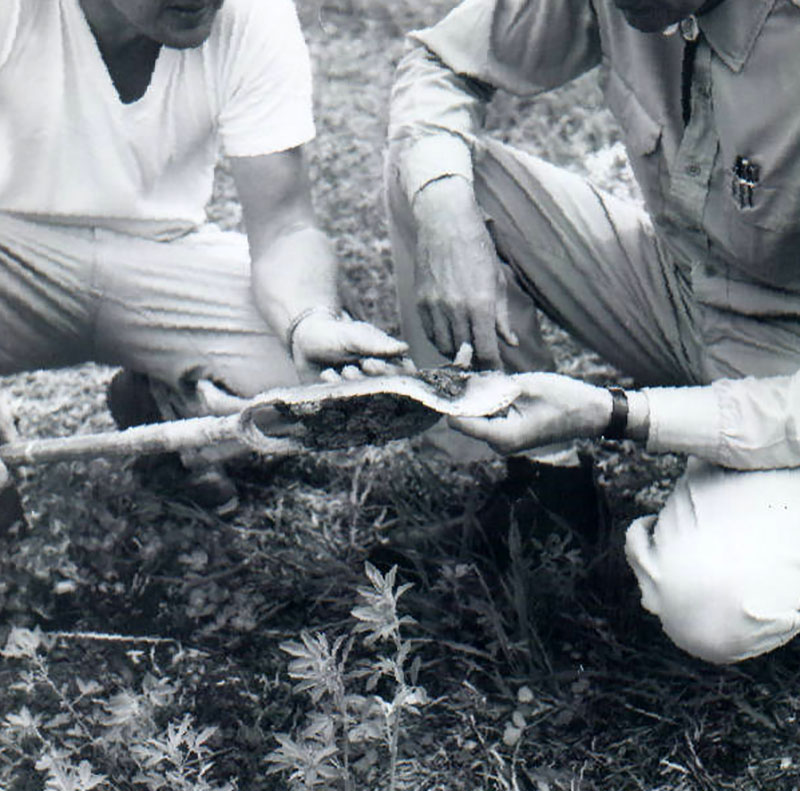 May 8, 1964
Freeman Swank Farm, Alfalfa field
Photo ID#: RSWCD200