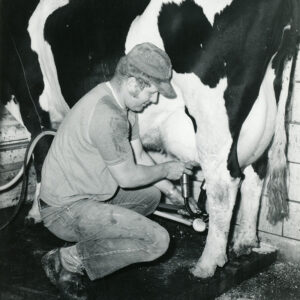 05_14_1973_David_Echelberger_at_the_Merle___David_Echelberger_Dairy_Farm._David_is_shown_during_the_milking_operation._It_is_a_85_90_cow_herd_website___Copy-747