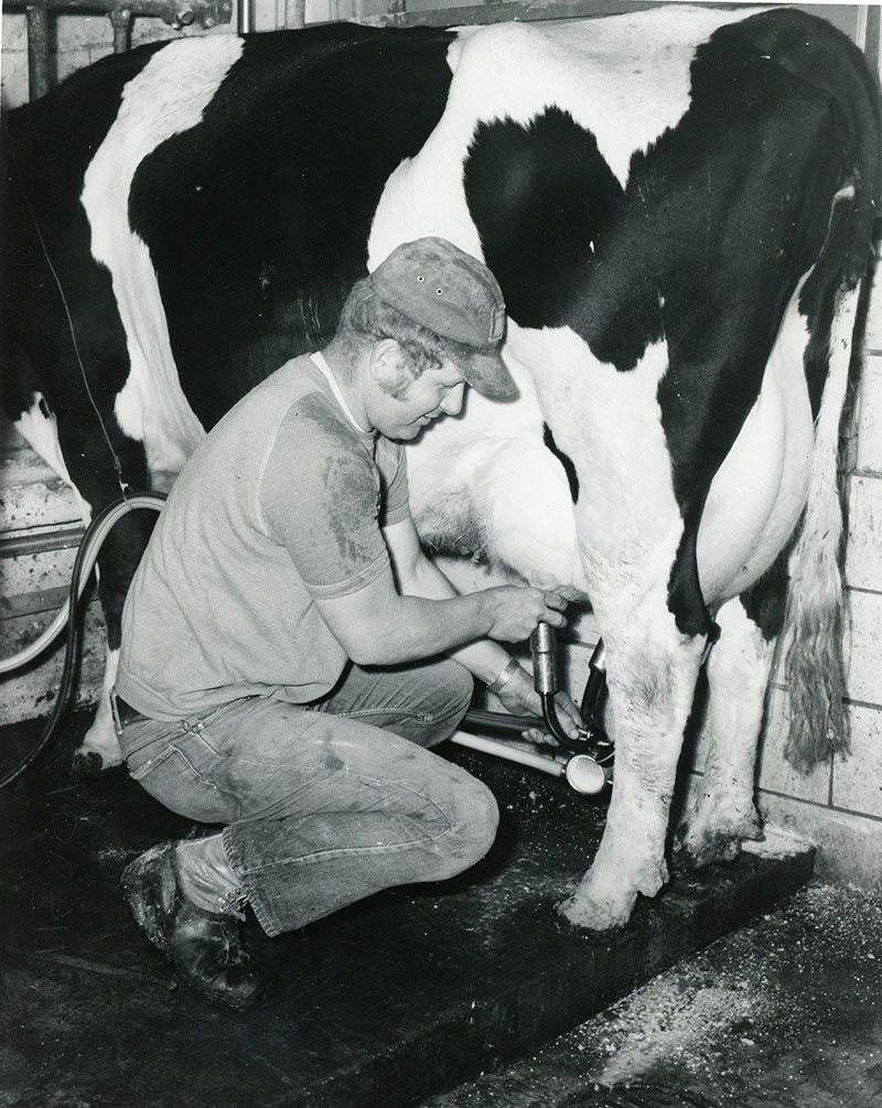May 14, 1973
David Eichelberger at the Merle and David Eichelberger Dairy Farm
David is shown during the milking operation (85-90 cow herd)
Photo ID#: A344