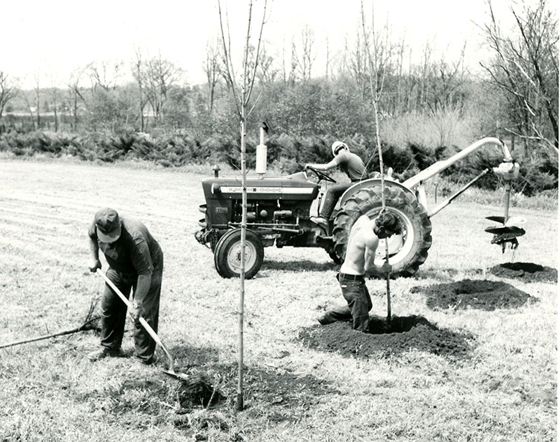May 16, 1974
John Leedy, Roger Spayde and Gus Beesman as they plant young trees at Wade and Gatton Nursery
Photo ID#: N9