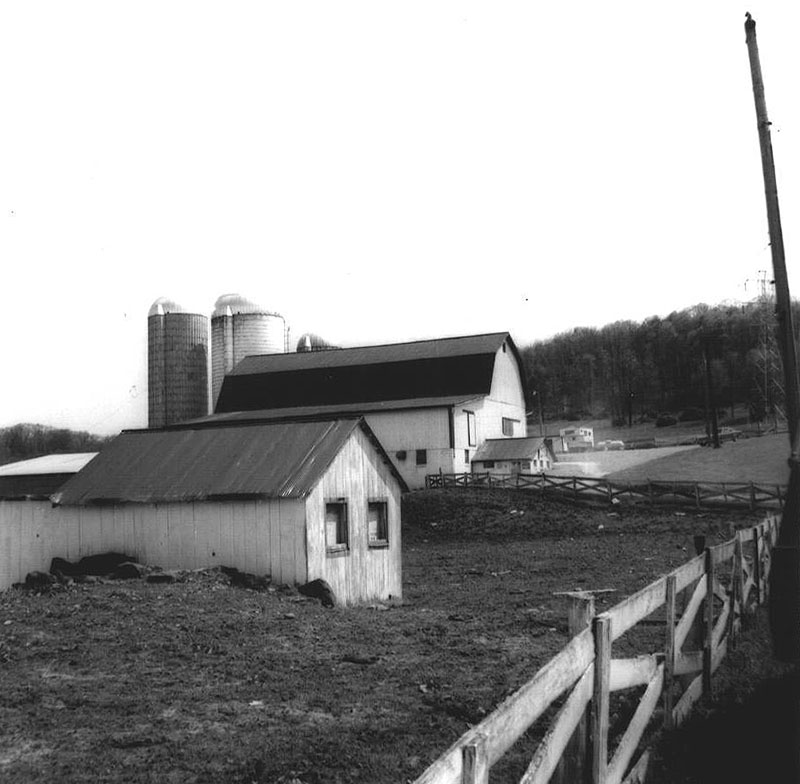 May 16, 1974
Freeman (Clark) Swank Farm
Photo ID#: A347