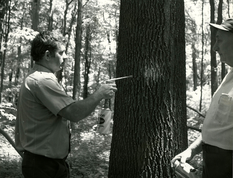 May 16, 1977
Jack Basinger and William Stahl
Photo ID#: S174