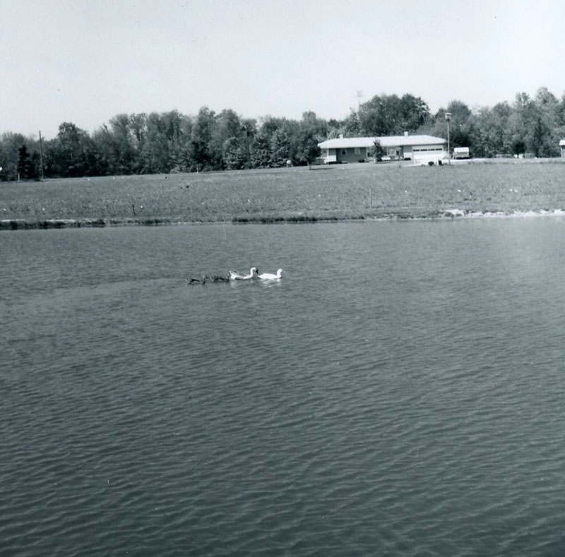May 19, 1977
Albert Dunn Farm
On Ganges Five Points Road
Photo ID#: S22