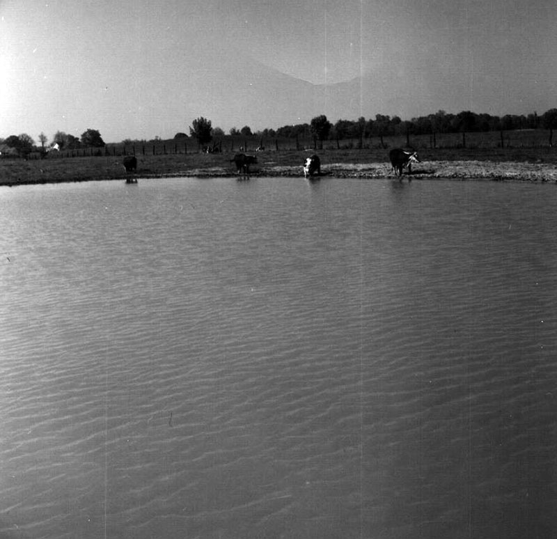 May 21, 1965
Photo ID#: S495