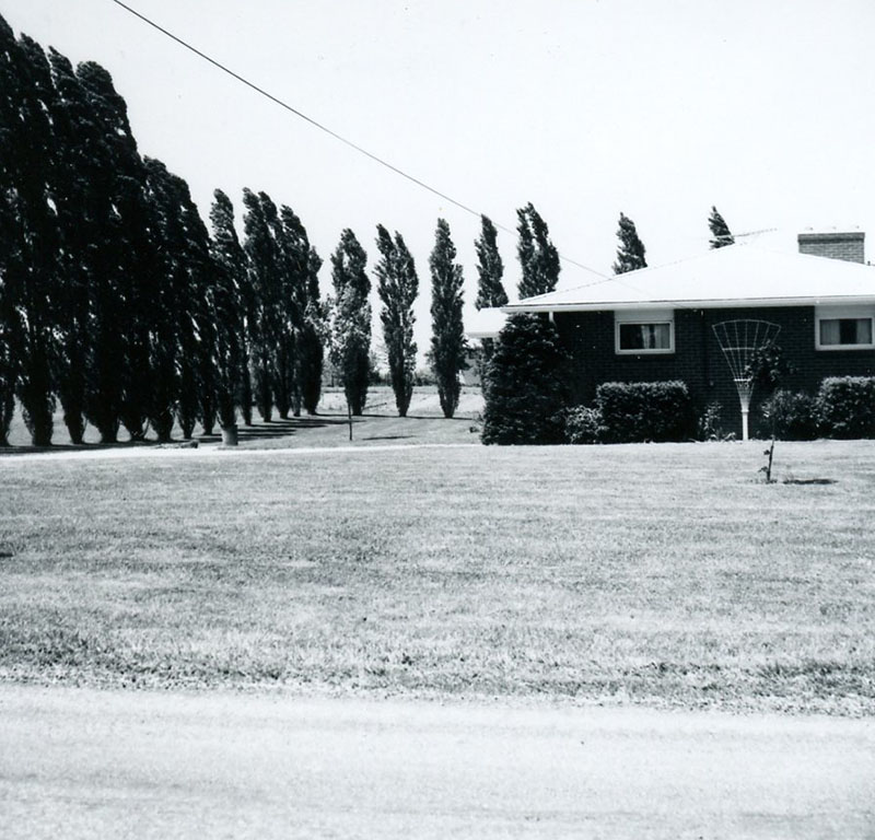 May 21, 1976
Mansfield-Lucas Road
Photo ID#: S716