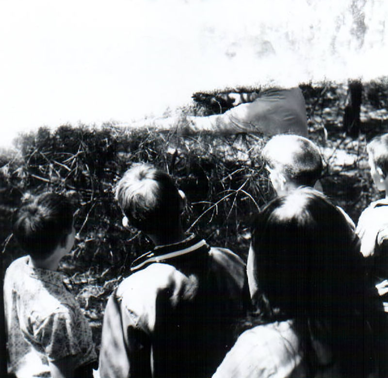 May 27, 1969
Mohican Outdoor School at Richland Rural Life Center
Photo ID#: E242