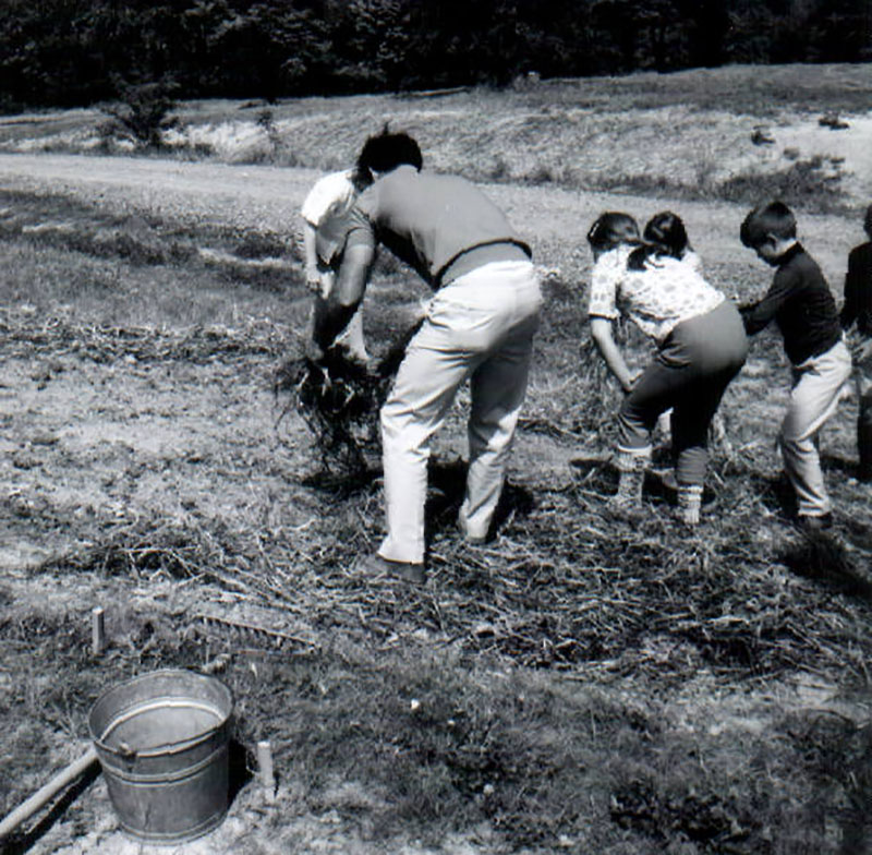 May 28, 1969
Rural Life Center conservation practices 
Photo ID#: RSWCD343