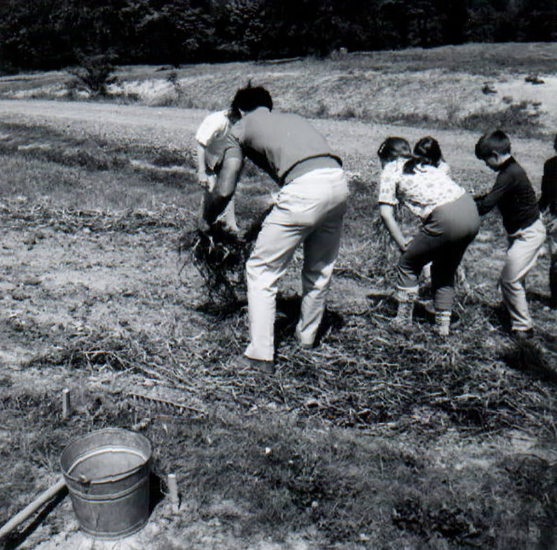 May 28, 1969
Rural Life Center
Conservation
Photo ID#: W39