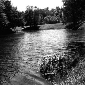 05_28_1977_Sam_Roush_pond_on_Shelby_Ganges_Road_5_acres_website-3977