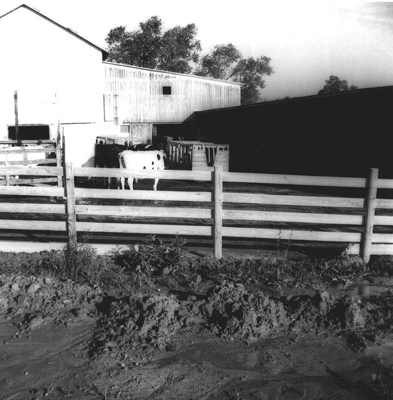 May 31, 1974
Edward Arnold Farm
Photo ID#: A369