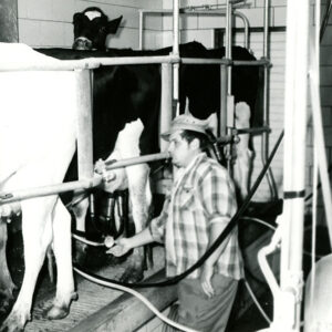 05_31_1974_Edward_Arnold_is_shown_as_he_milked_a_portion_of_his_dairy_herd._This_is_a_new_enterprise_not_yet_in_full_production_website___Copy-773