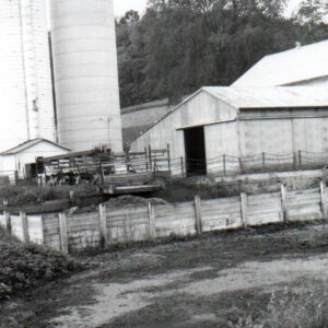 06_00_1979_Older_animal_waste_structure_with_overflow_due_to_management_failure0001-2127