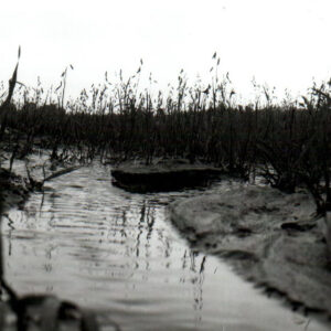 06_00_1986___Concentrated_flow_through_small_grain_cause_gulley_erosion_problem_and_sedimentation_website-522