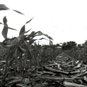 06_00_1987_Mark_Berry_Farm_Weed_Control_in_no_till_corn__website___Copy-1162