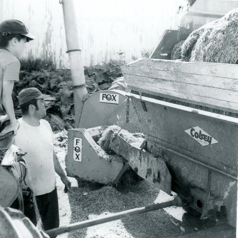 June 1, 1973
James Bernhard, sons
Photo ID#: A190