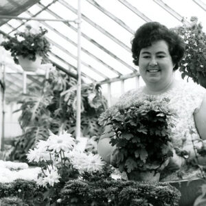 06_02_1975_Wonder_Garden_Florist_Carol_Fricken__an_experienced_empolyee_at_the_Wonder_Garden_Nursery_enjoys_showing_and_arranging_many_flowers_available_for_sale_website-2712