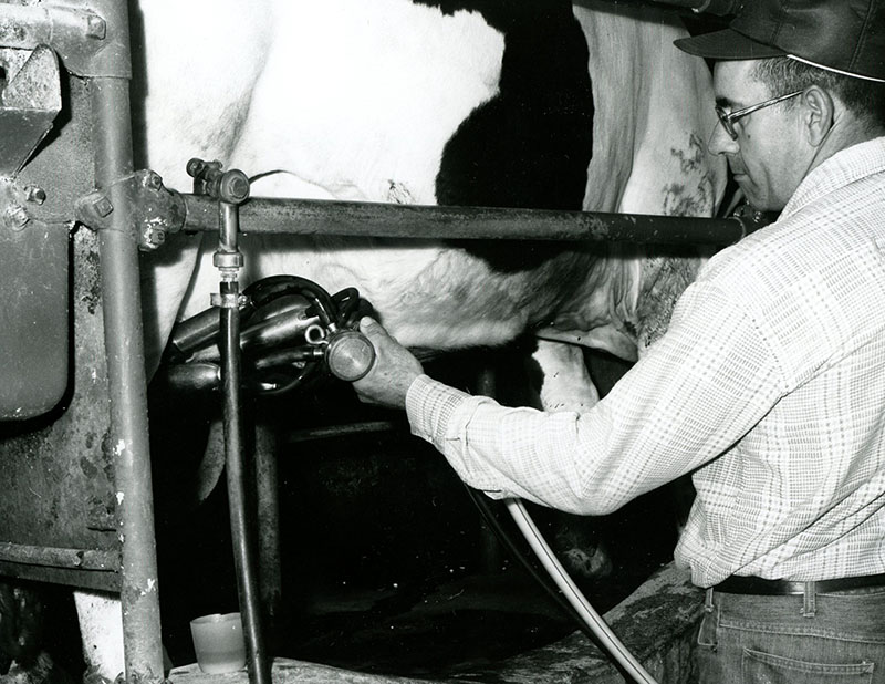 June 2, 1977
Foster Reynolds-Kenneth Ernst Farm
Photo ID#: A376
 