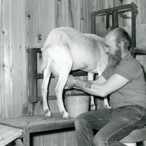 06_04_1975_Harry_White_shown_as_he_milked_April__one_of_the_producing_doe_goats_at_the_White_Dairy_Goat_Farm_website-811