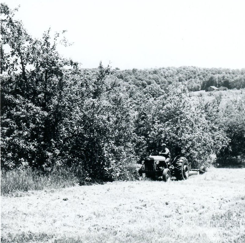 June 4, 1976
Herb Woodward, Saliday Farm
Photo ID#: A193