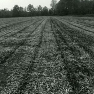 06_04_1980_No_till_corn_in_soybean_stubble._Tile_drained_Pewamo_soil_website-5232