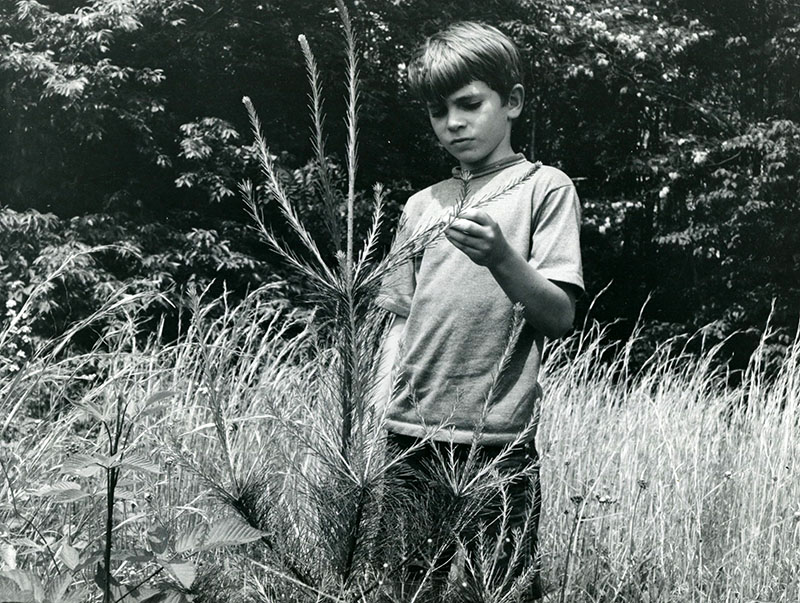 06_05_1971_Tod_Mills_with_rapidly_growing_white_pine_at_the_Rural_Life_Center_website-3853